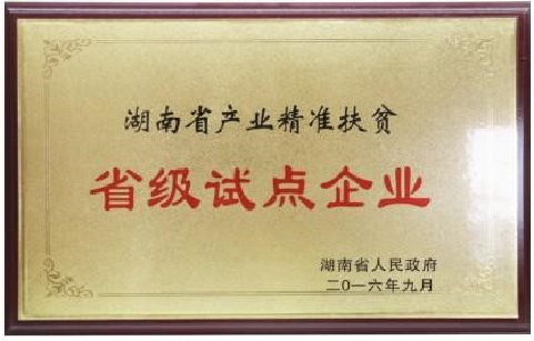 精准扶贫省级试点企业